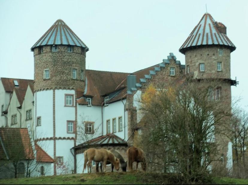 Luxus Appartement Im Schloss Fockelberg 외부 사진
